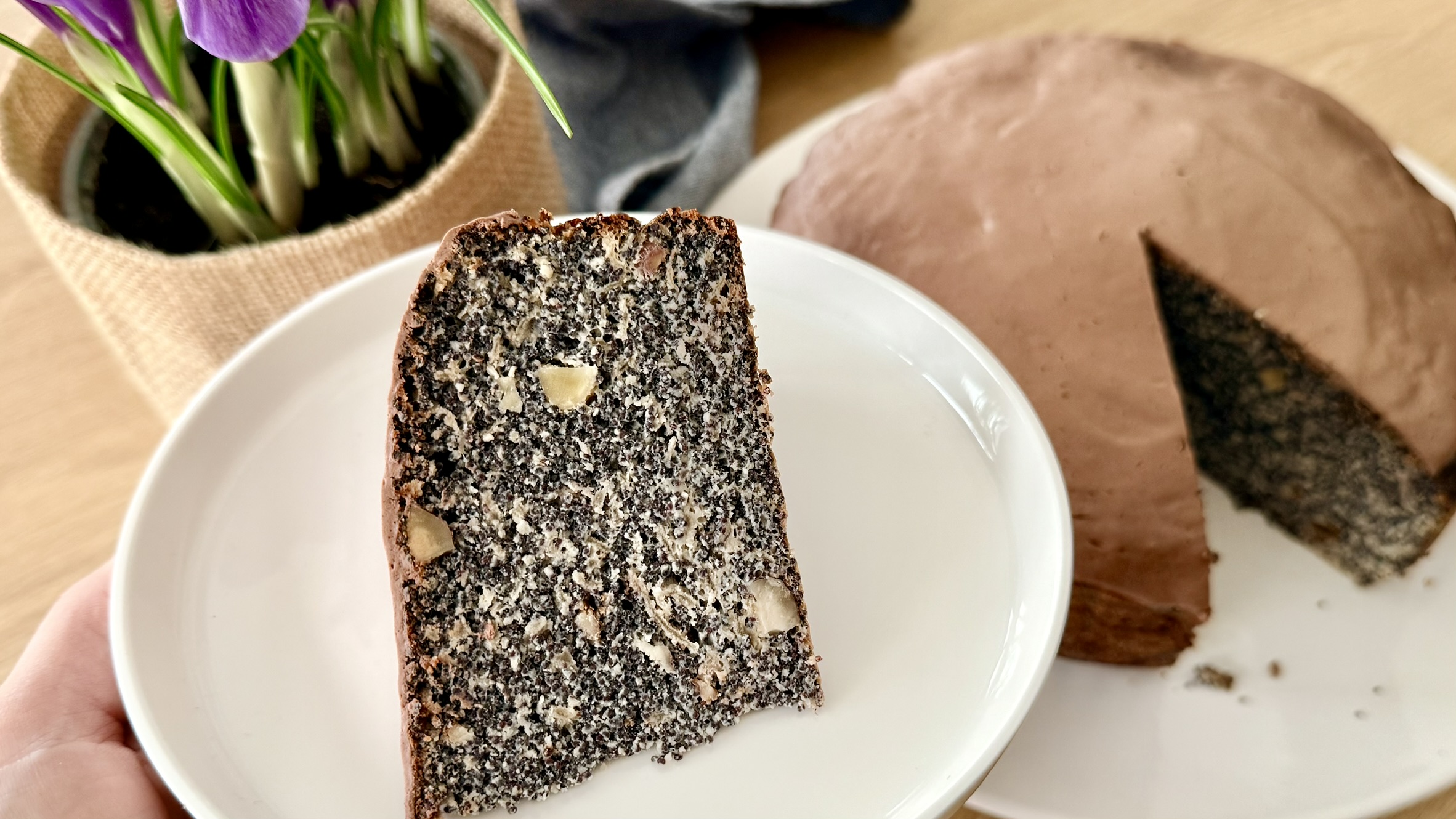 You are currently viewing Sekret makowca japońskiego, o którym mało kto wie