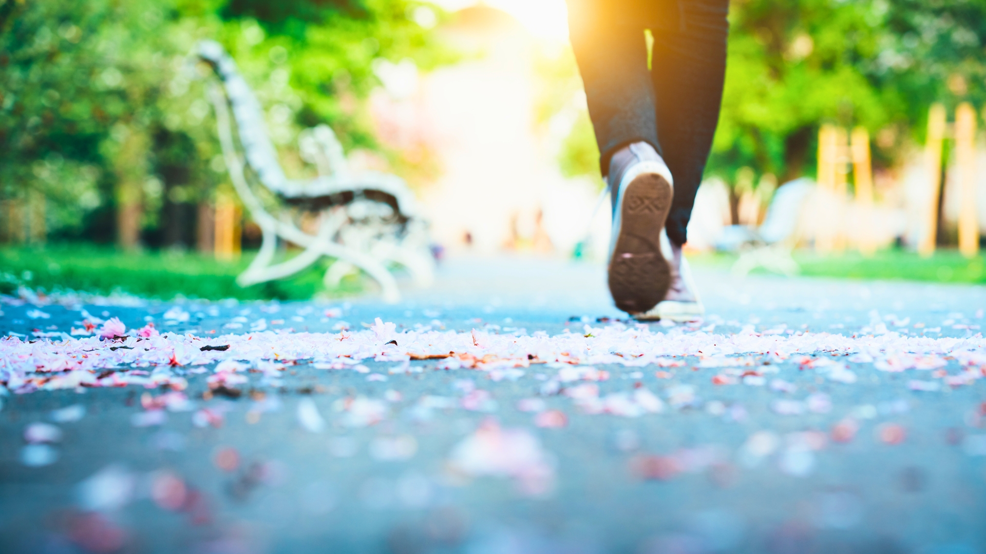 You are currently viewing Mit 10 000 kroków dziennie – ile naprawdę trzeba chodzić?