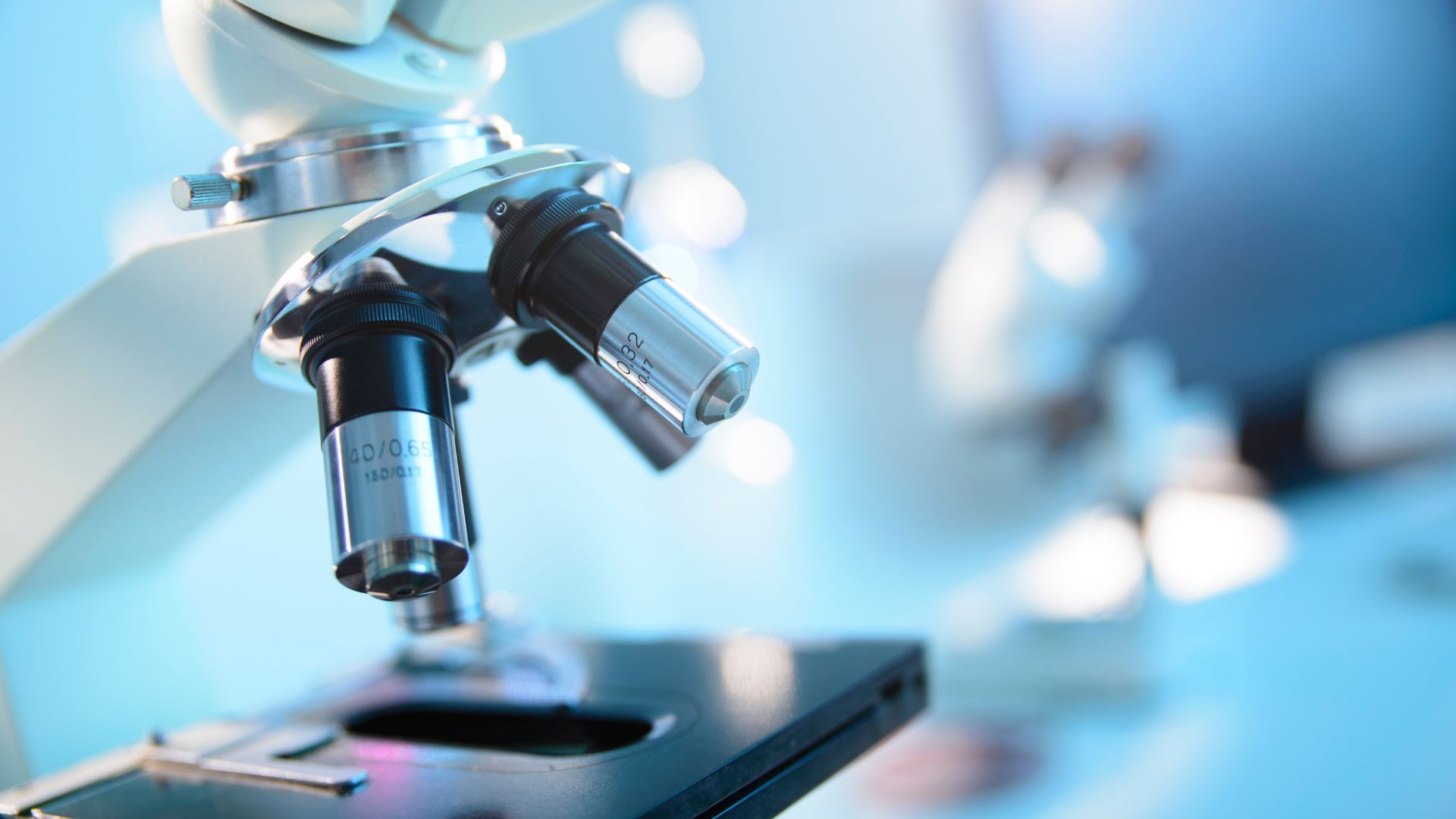 You are currently viewing Diagnozowanie insulinooporności – od objawów do wyników